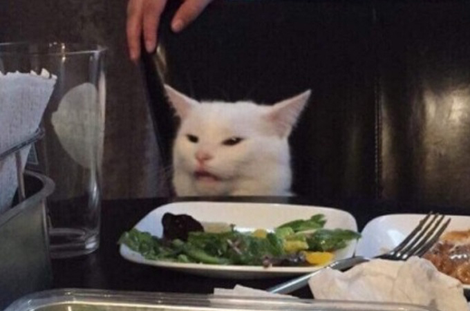 cat2